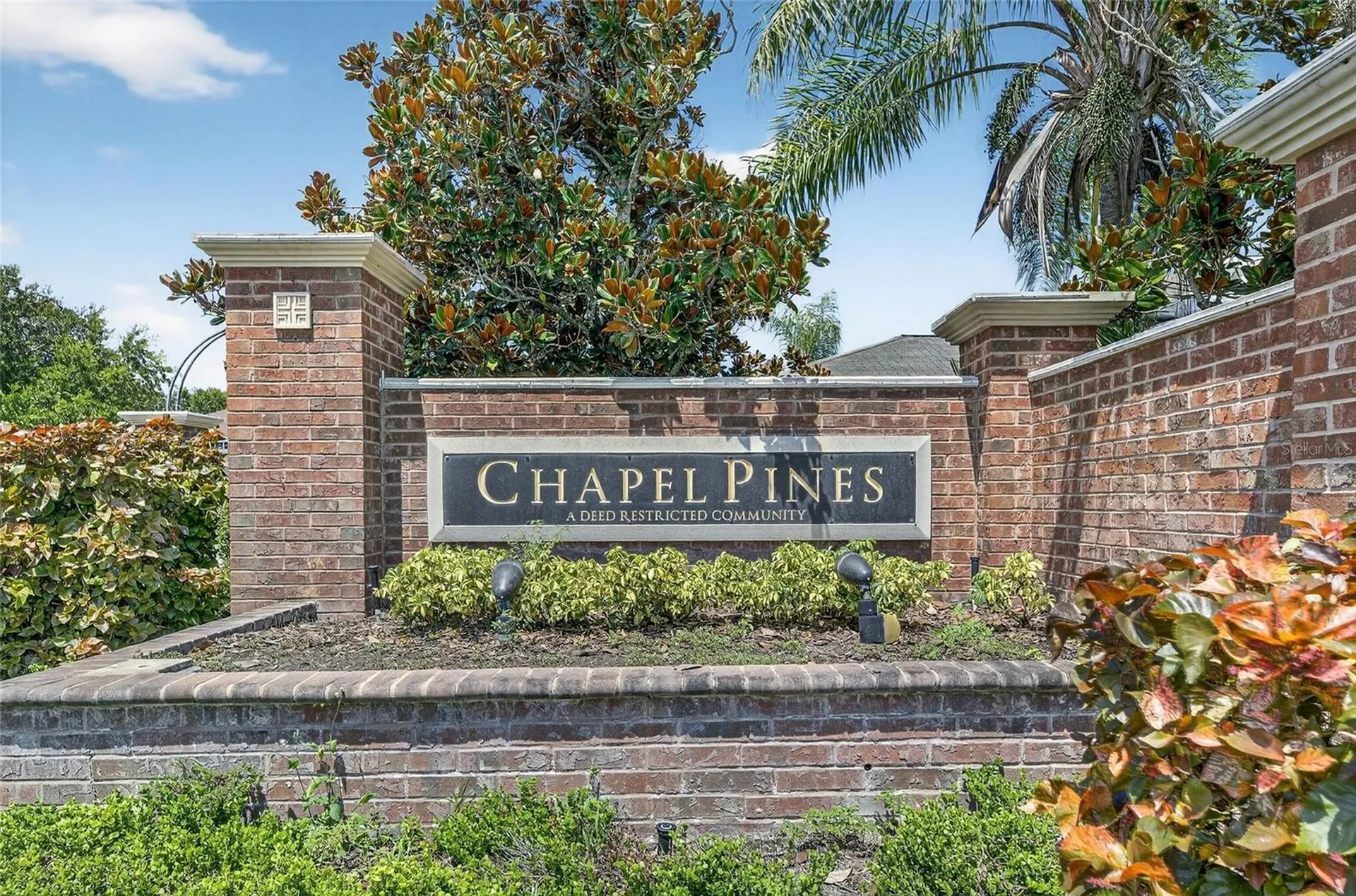 6510 Tabogi Trail Wesley Chapel FL 33545