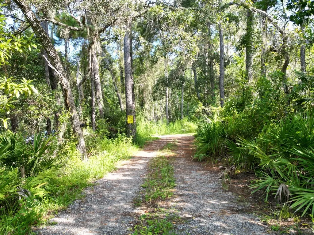 Aylesboro Court Brooksville FL 34602