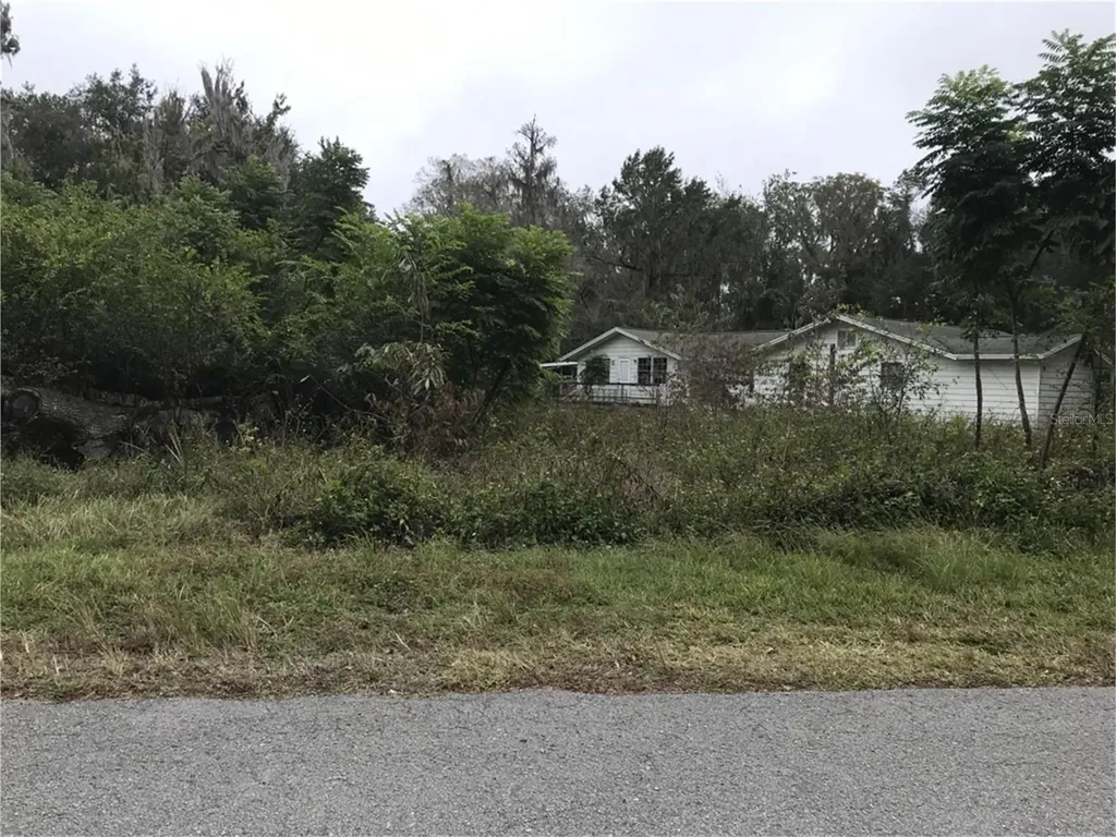 3057 Cr 431n Lake Panasoffkee FL 33538