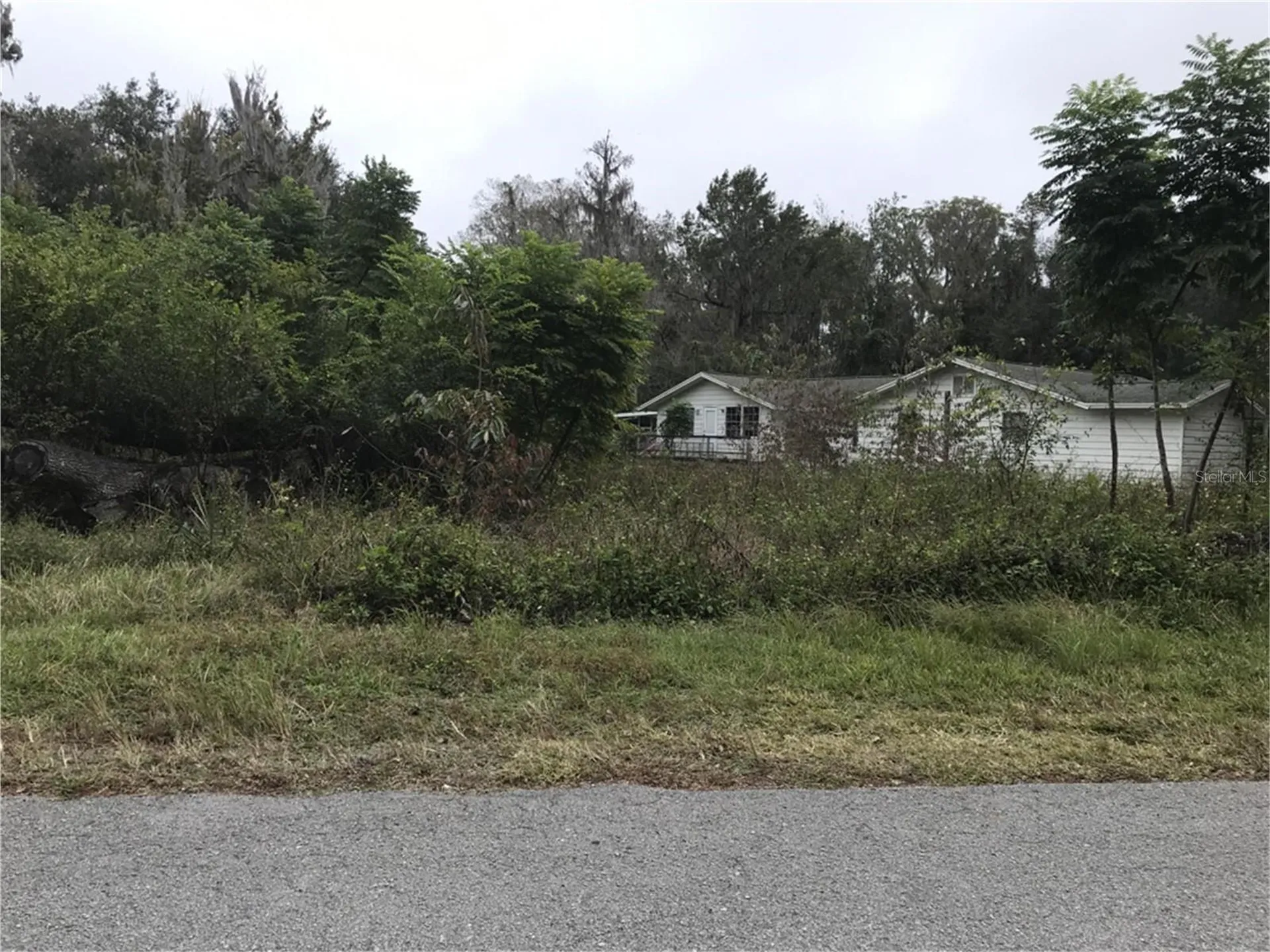 3057 Cr 431n Lake Panasoffkee FL 33538