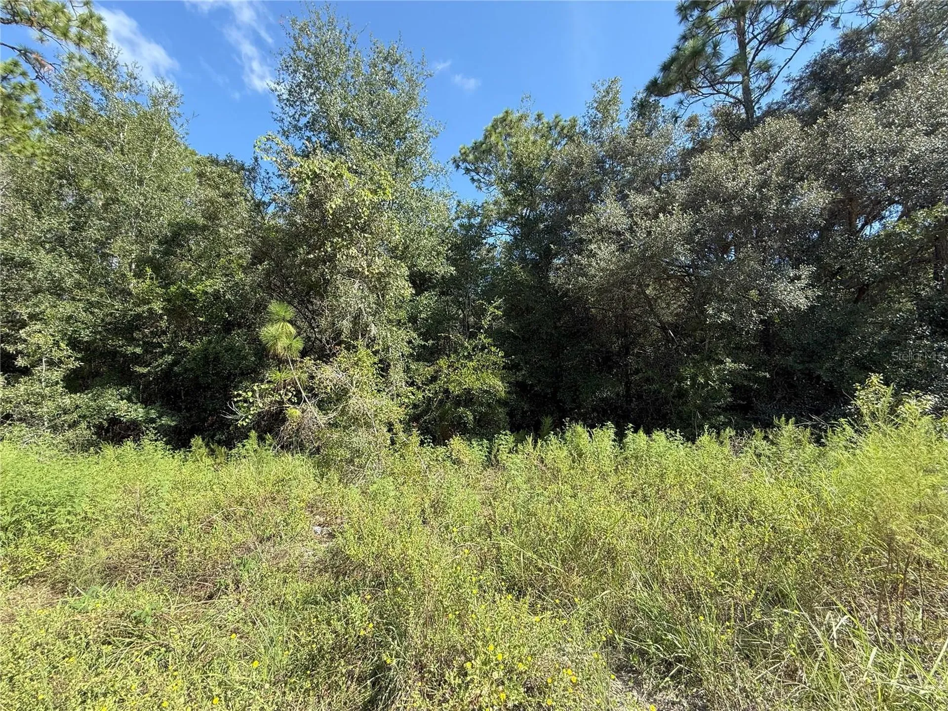 Tbd SW 40th Street Dunnellon FL 34432