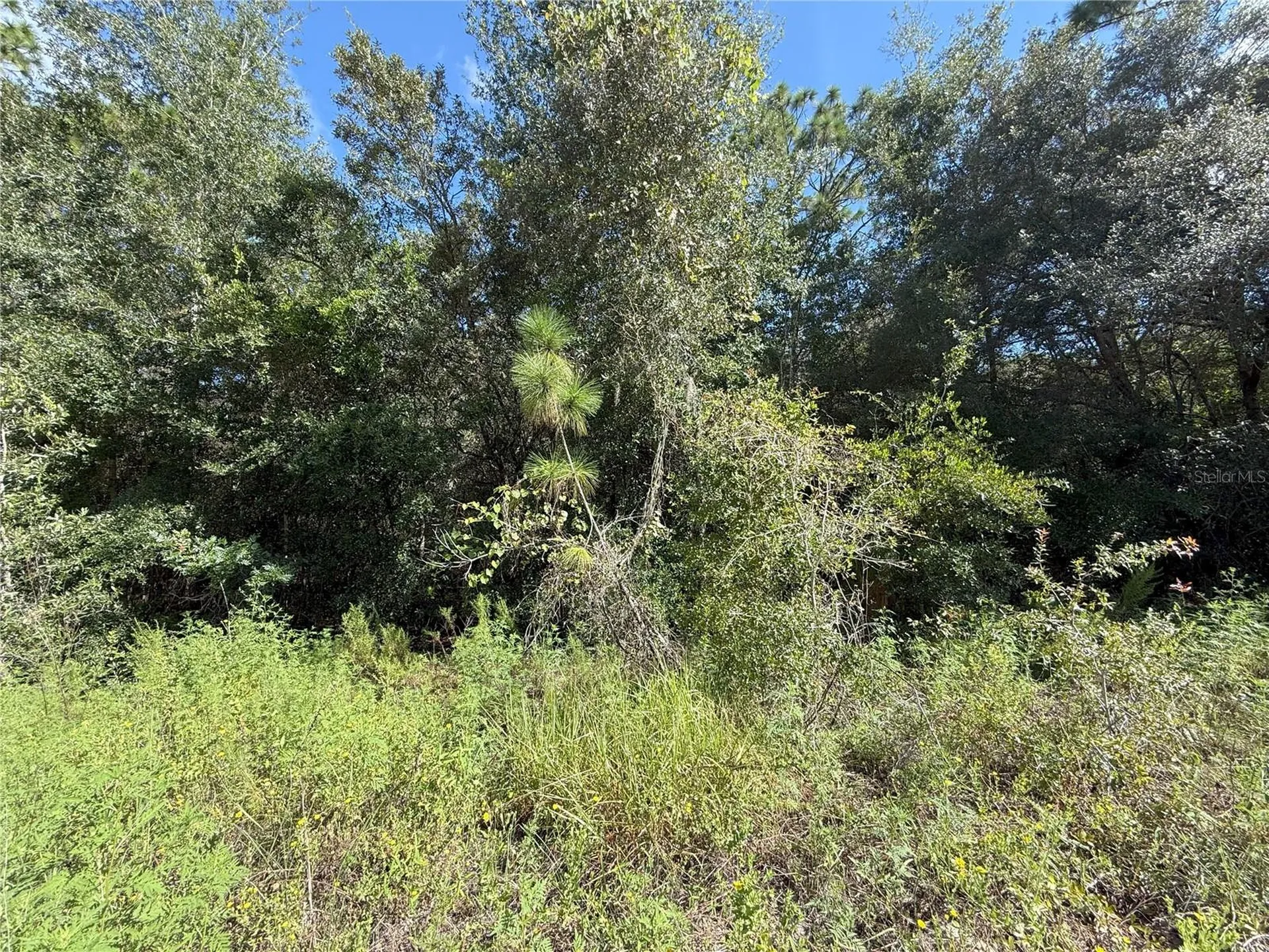 Tbd SW 40th Street Dunnellon FL 34432