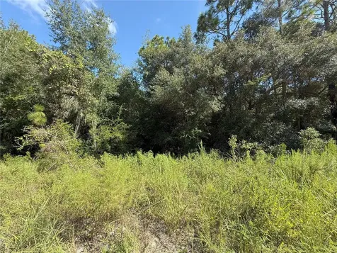 Tbd SW 40th Street Dunnellon FL 34432