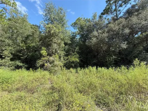 Tbd SW 40th Street Dunnellon FL 34432