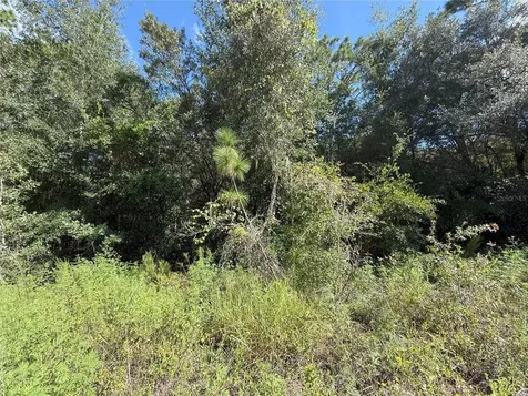 Tbd SW 40th Street Dunnellon FL 34432