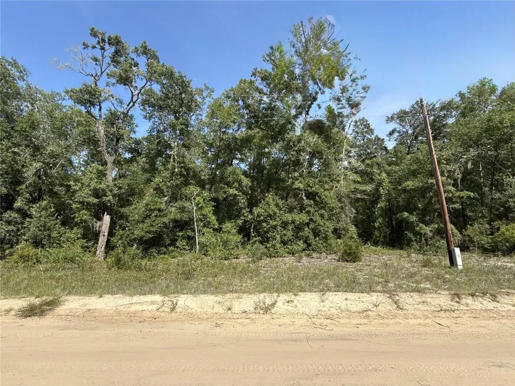 0 Gloria Avenue Interlachen FL 32148