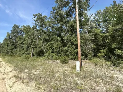 0 Gloria Avenue Interlachen FL 32148