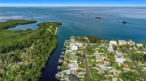 220 Driftwood Drive S Palm Harbor FL 34683