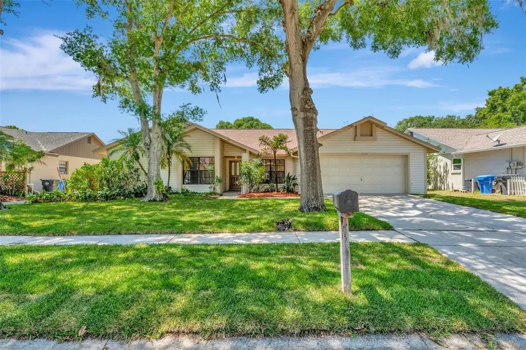 2556 Arborwood Drive Valrico FL 33596