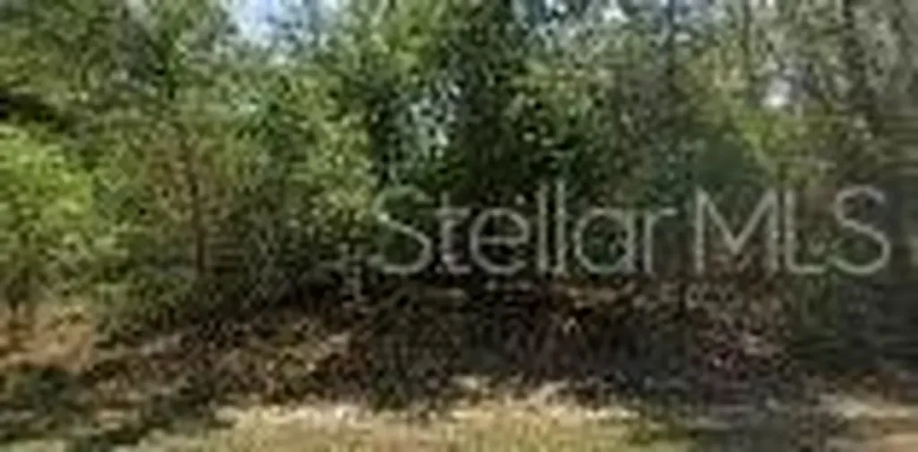 8545 N Wallingford Avenue Dunnellon FL 34434