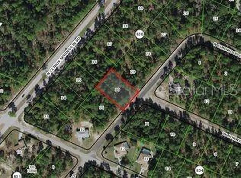 8545 N Wallingford Avenue Dunnellon FL 34434