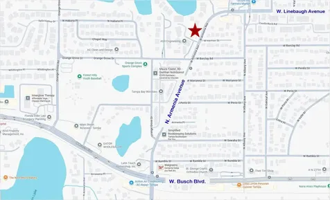 9724 N Armenia Avenue Tampa FL 33612