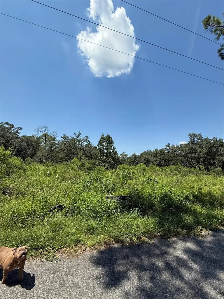 1356 Montzen Road Davenport FL 33896