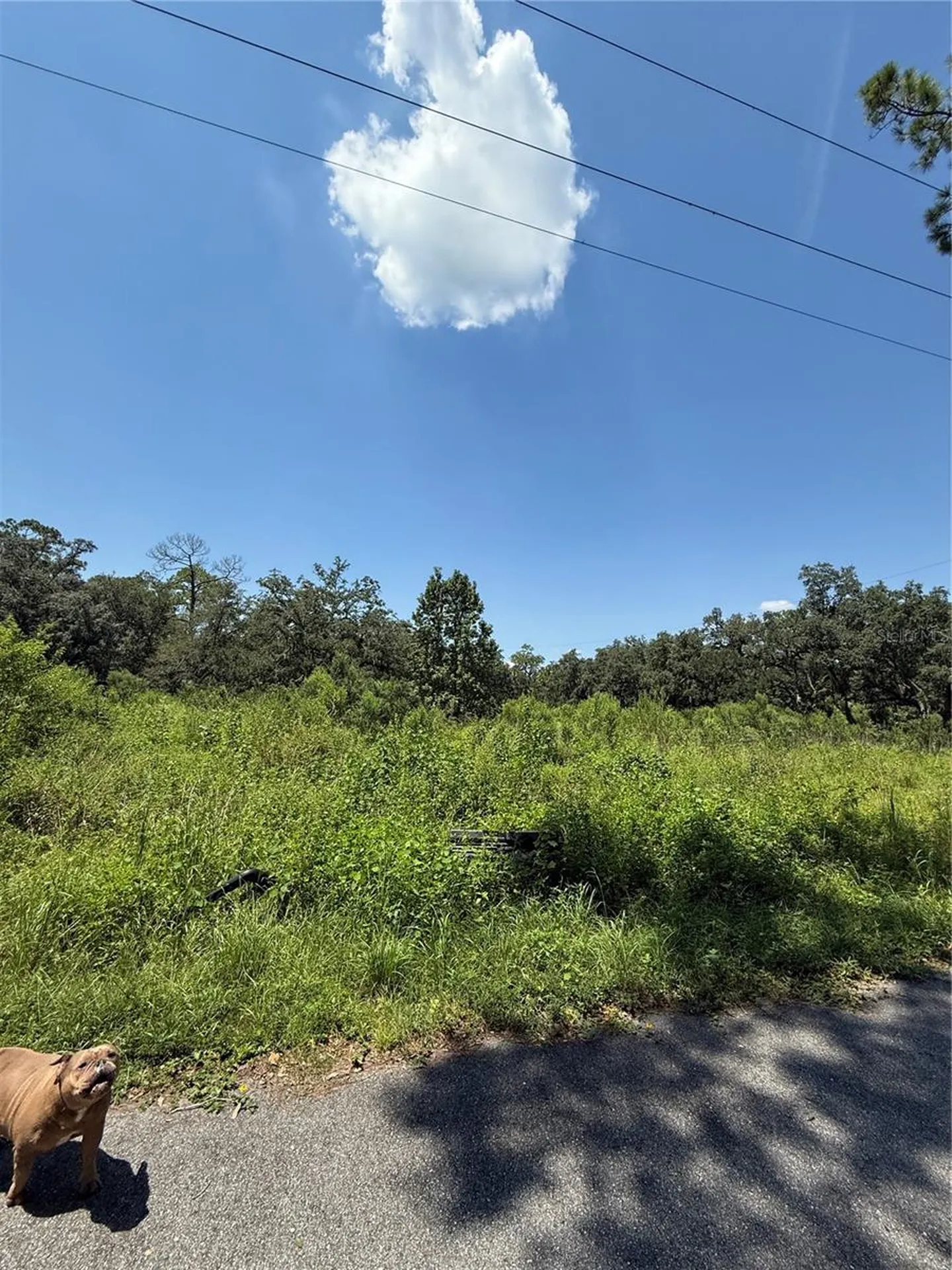 1356 Montzen Road Davenport FL 33896