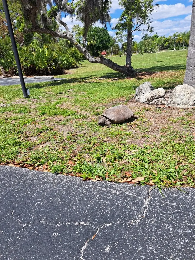 23465 Harborview Road Punta Gorda FL 33980