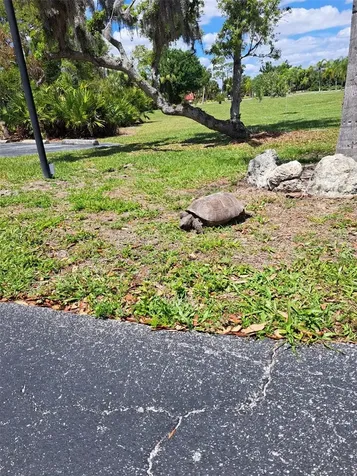 23465 Harborview Road Punta Gorda FL 33980