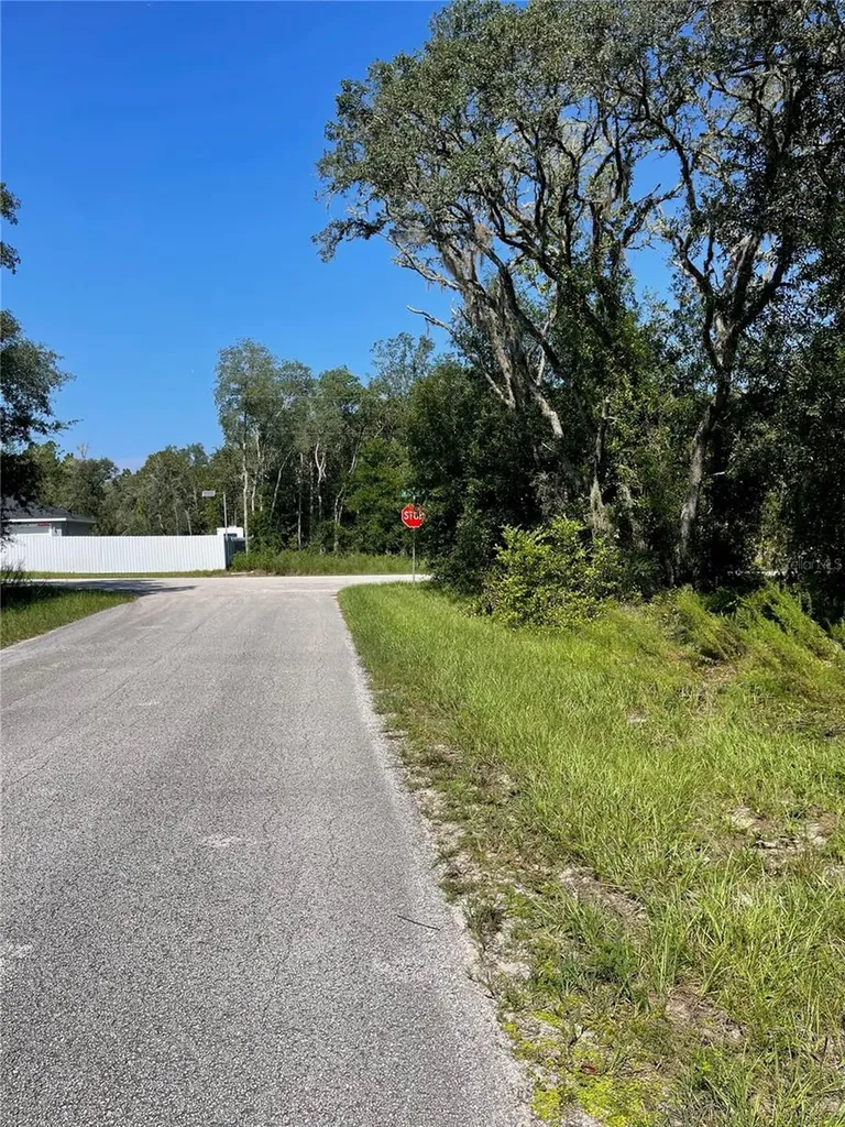 00 SW Green Bay Drive Dunnellon FL 34431