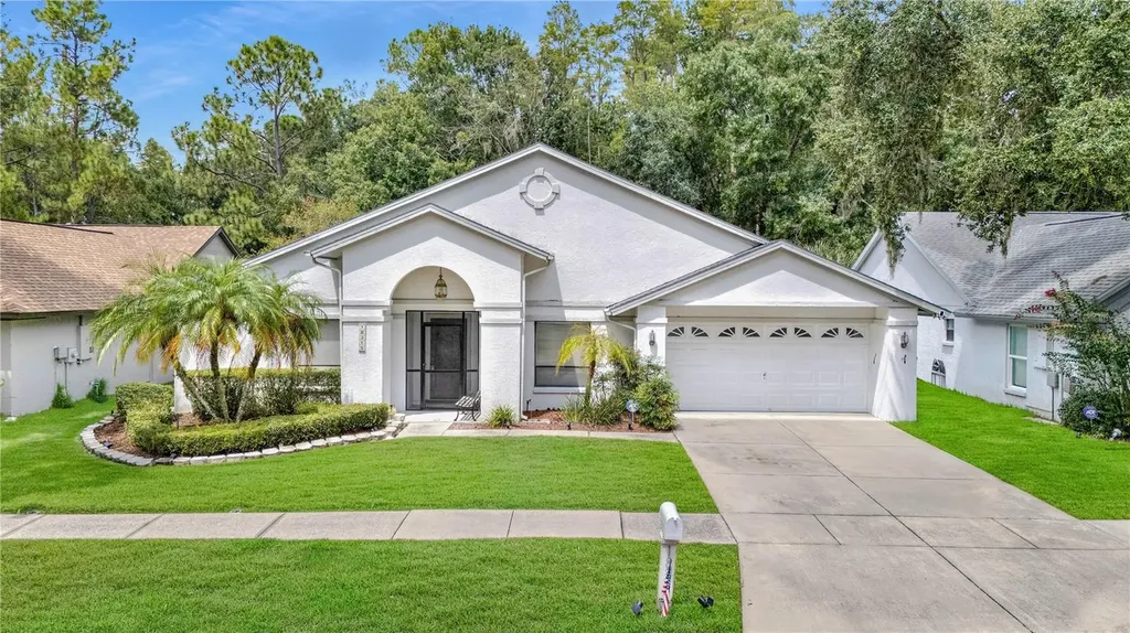 18315 Cypress Stand Circle Tampa FL 33647