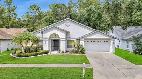 18315 Cypress Stand Circle Tampa FL 33647