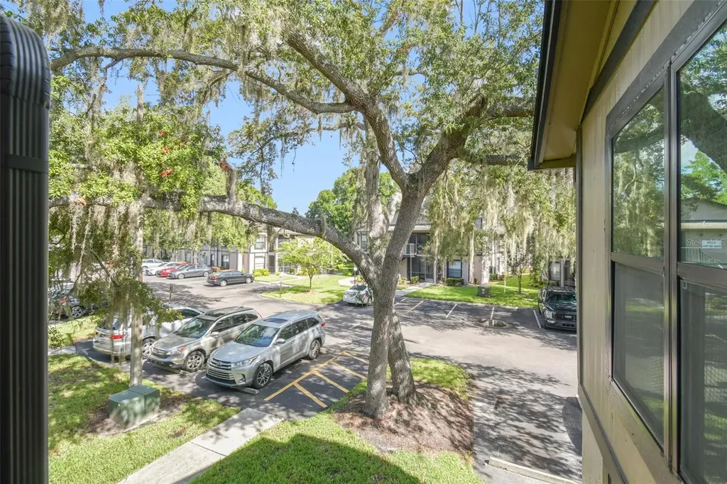 4033 Dream Oak Place Tampa FL 33613