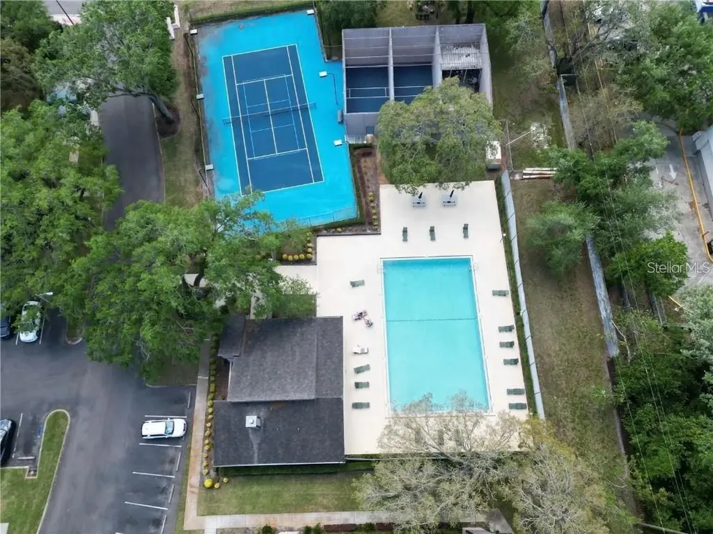 4033 Dream Oak Place Tampa FL 33613