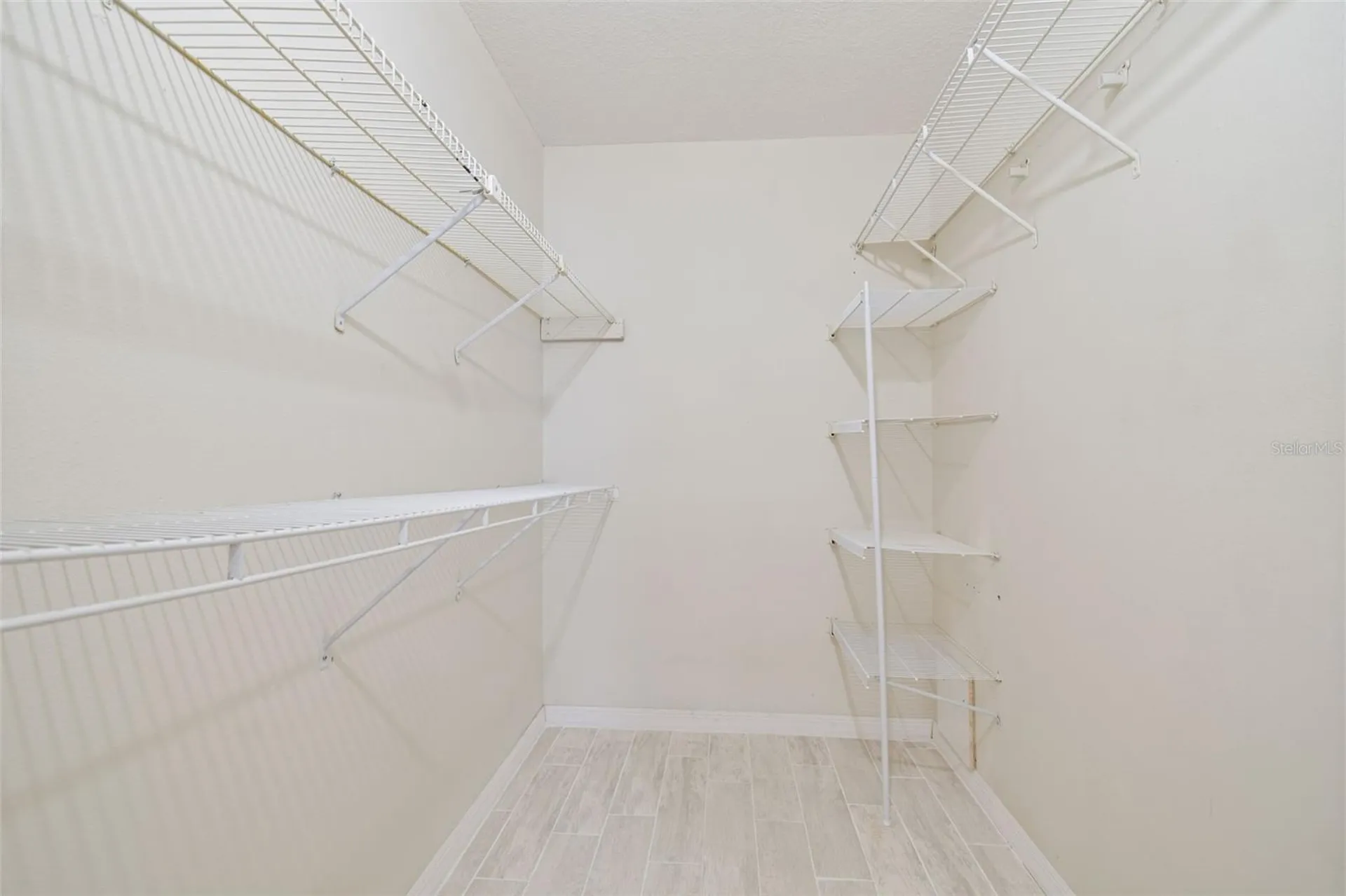 4033 Dream Oak Place Tampa FL 33613