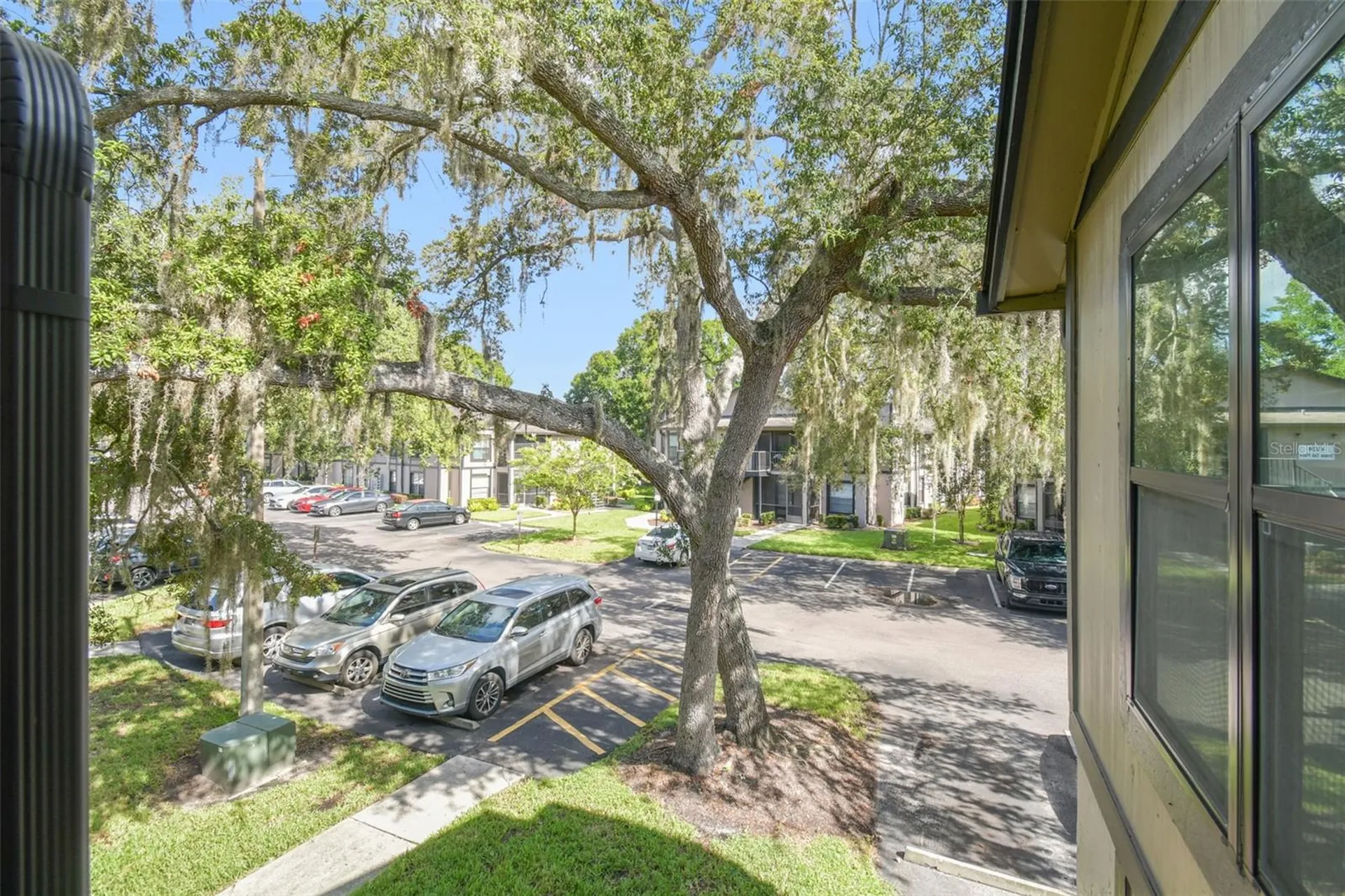 4033 Dream Oak Place Tampa FL 33613
