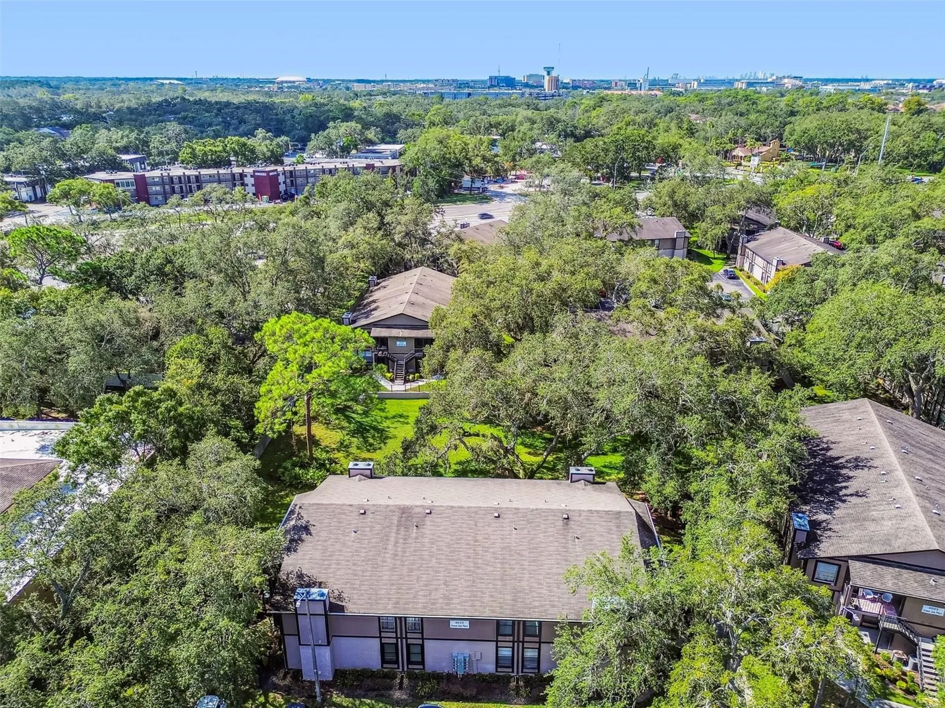 4033 Dream Oak Place Tampa FL 33613
