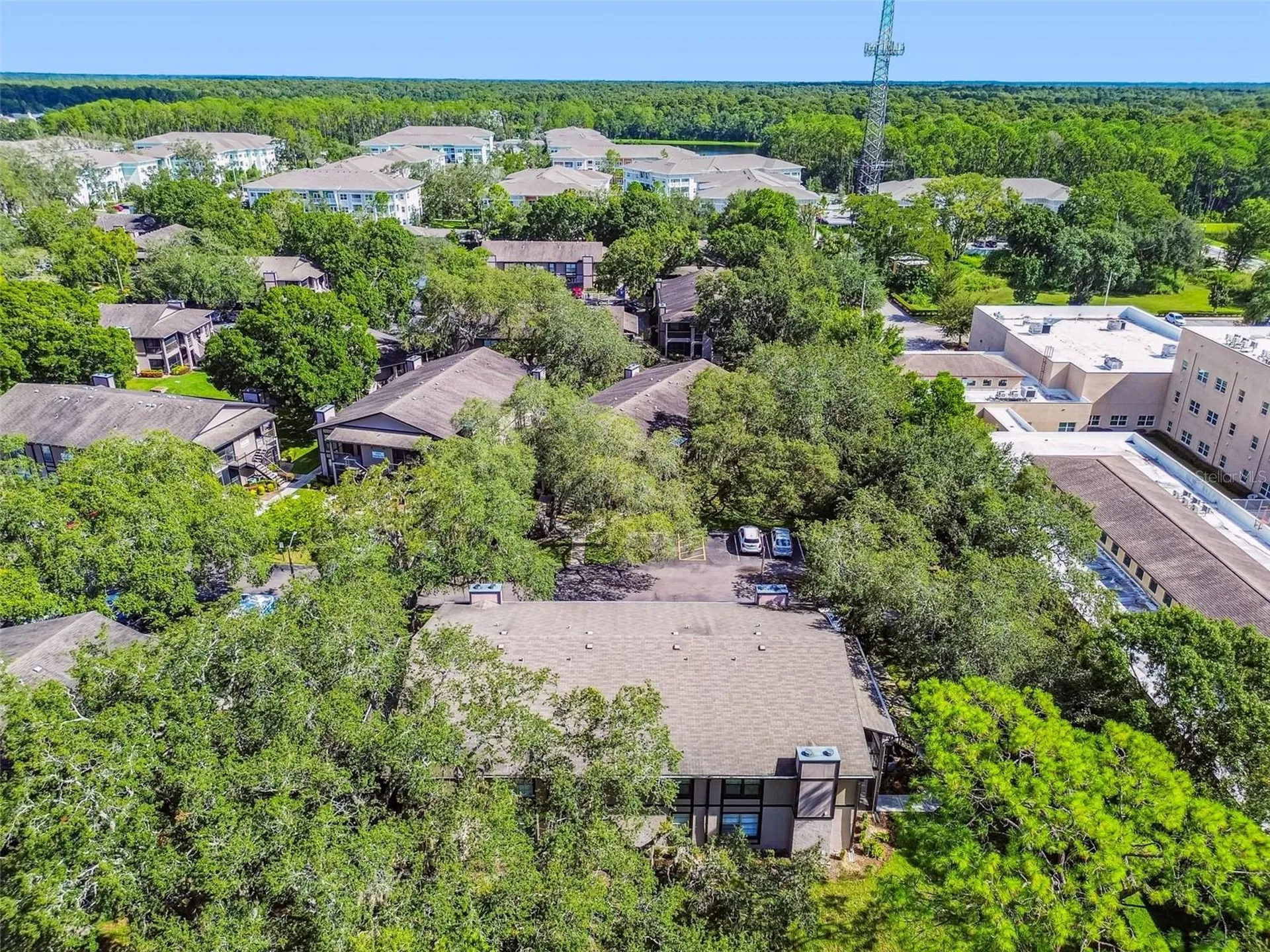 4033 Dream Oak Place Tampa FL 33613