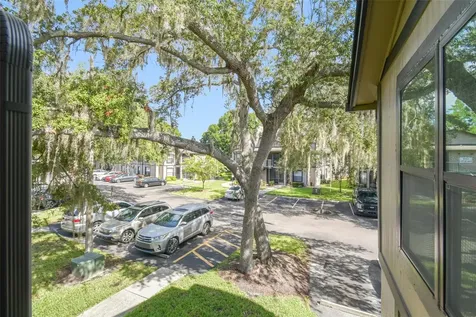 4033 Dream Oak Place Tampa FL 33613