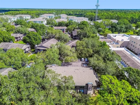 4033 Dream Oak Place Tampa FL 33613