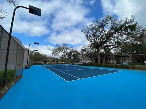 4033 Dream Oak Place Tampa FL 33613