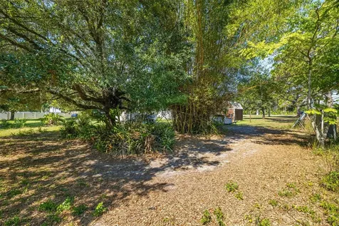 7308 Boyette Road Wesley Chapel FL 33545