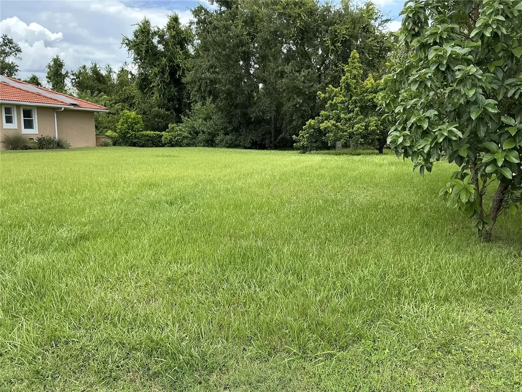 21049 Los Cabos Court Land O Lakes FL 34637