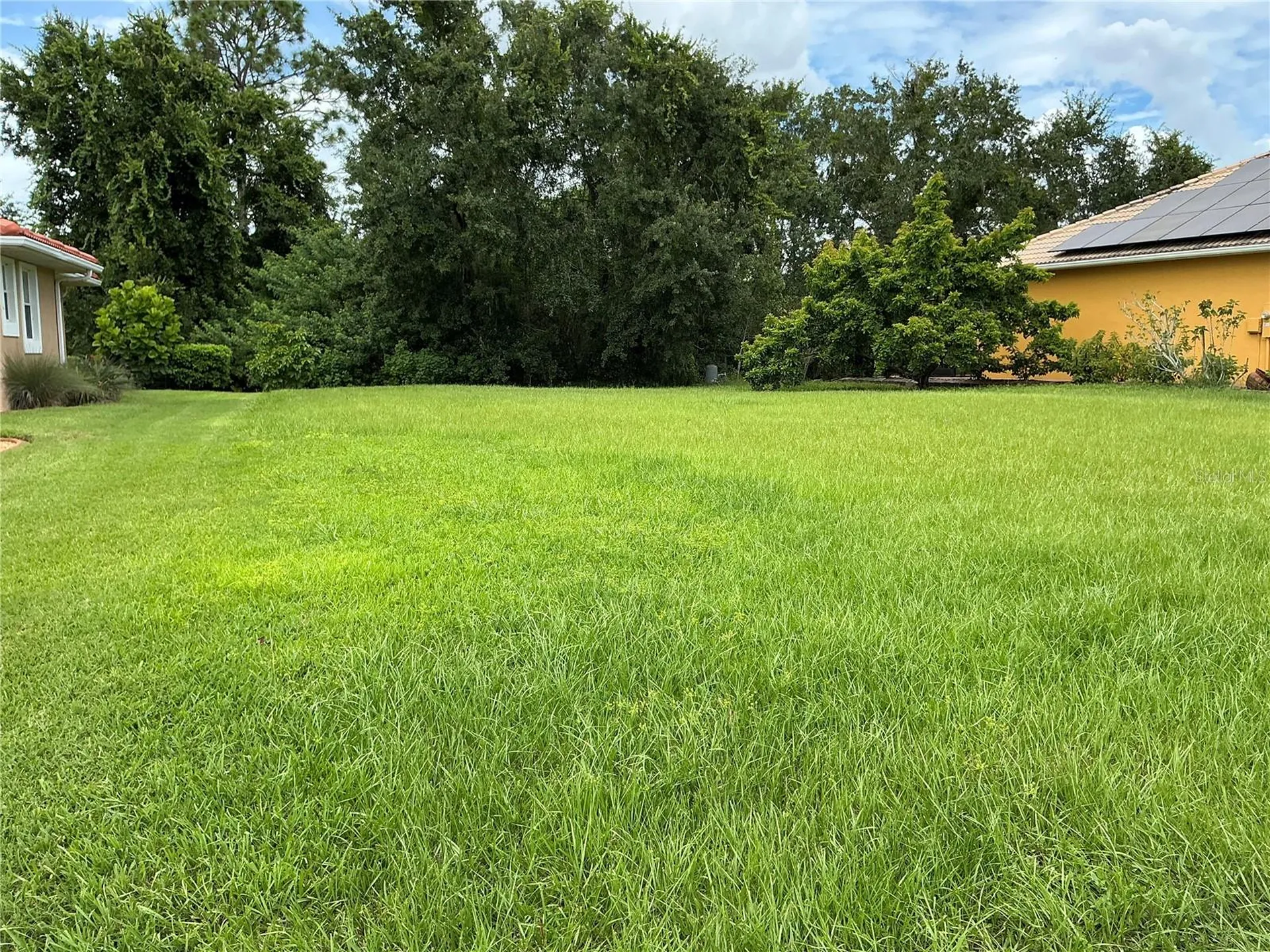 21049 Los Cabos Court Land O Lakes FL 34637