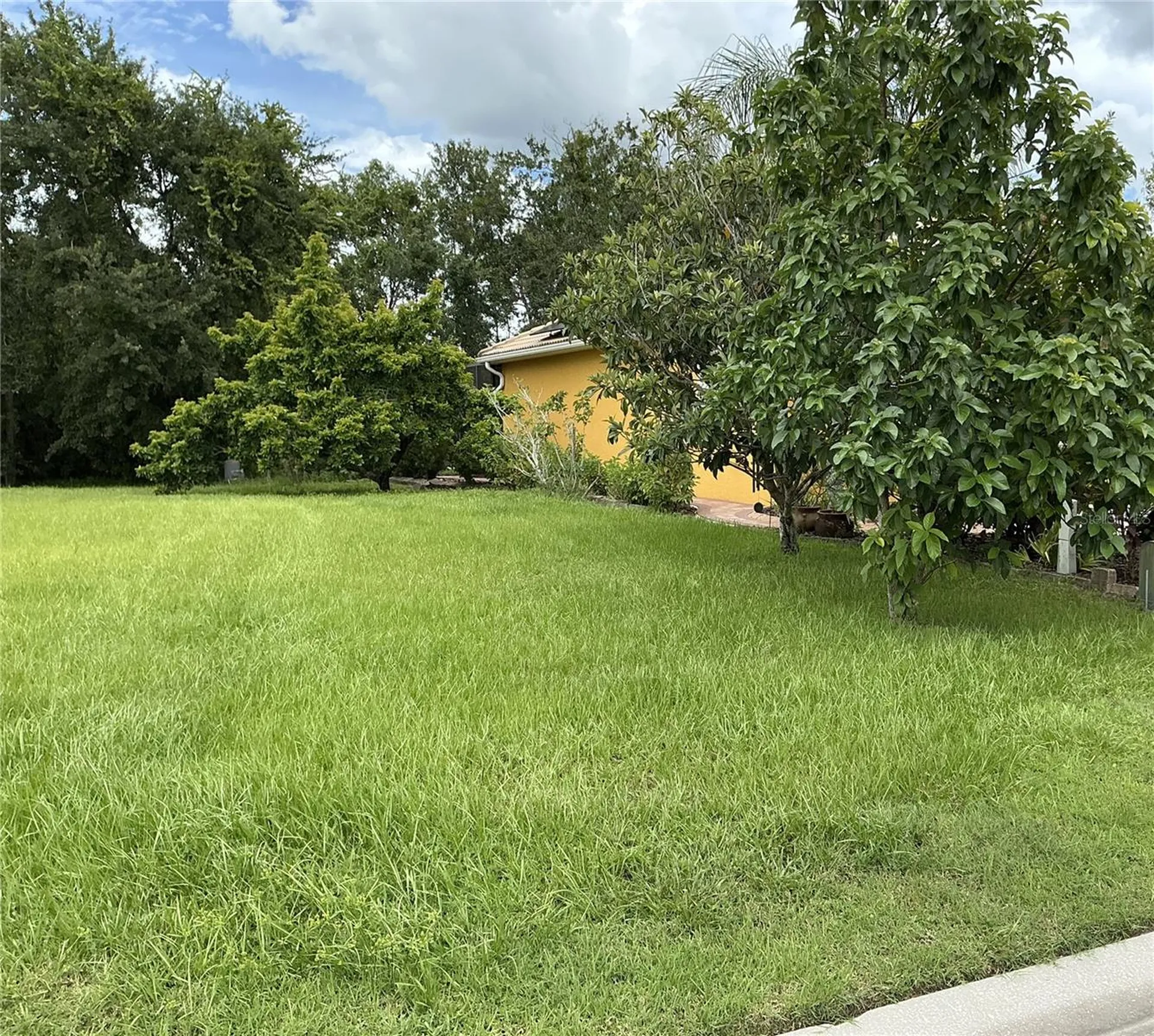 21049 Los Cabos Court Land O Lakes FL 34637