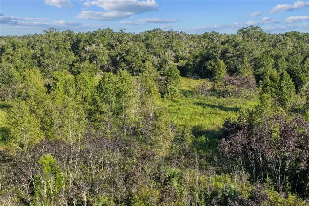 NE Highway 27th Bronson FL 32621