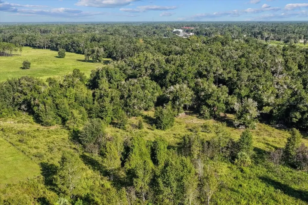 NE Highway 27th Bronson FL 32621