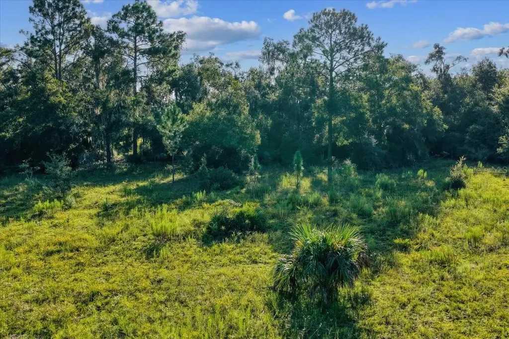 NE Highway 27th Bronson FL 32621