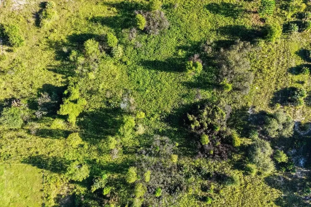 NE Highway 27th Bronson FL 32621