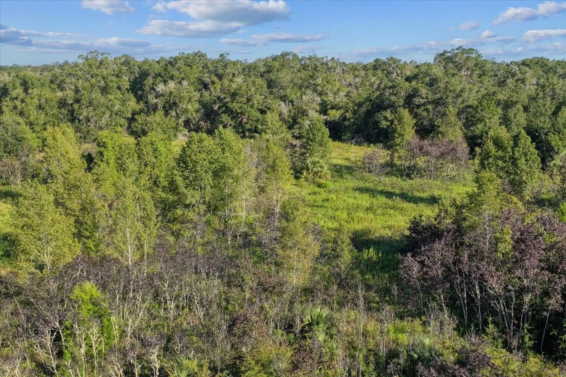 NE Highway 27th Bronson FL 32621