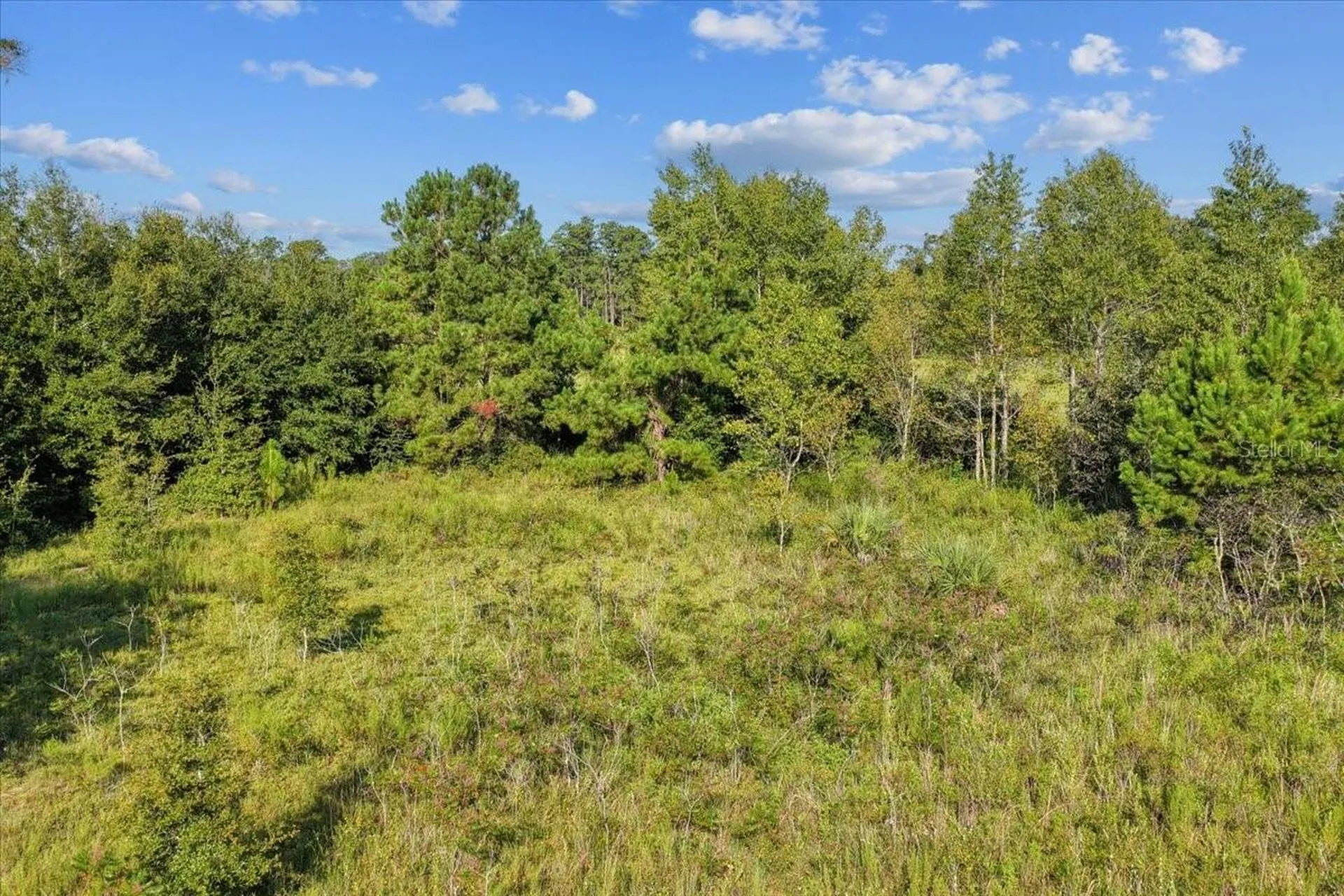 NE Highway 27th Bronson FL 32621