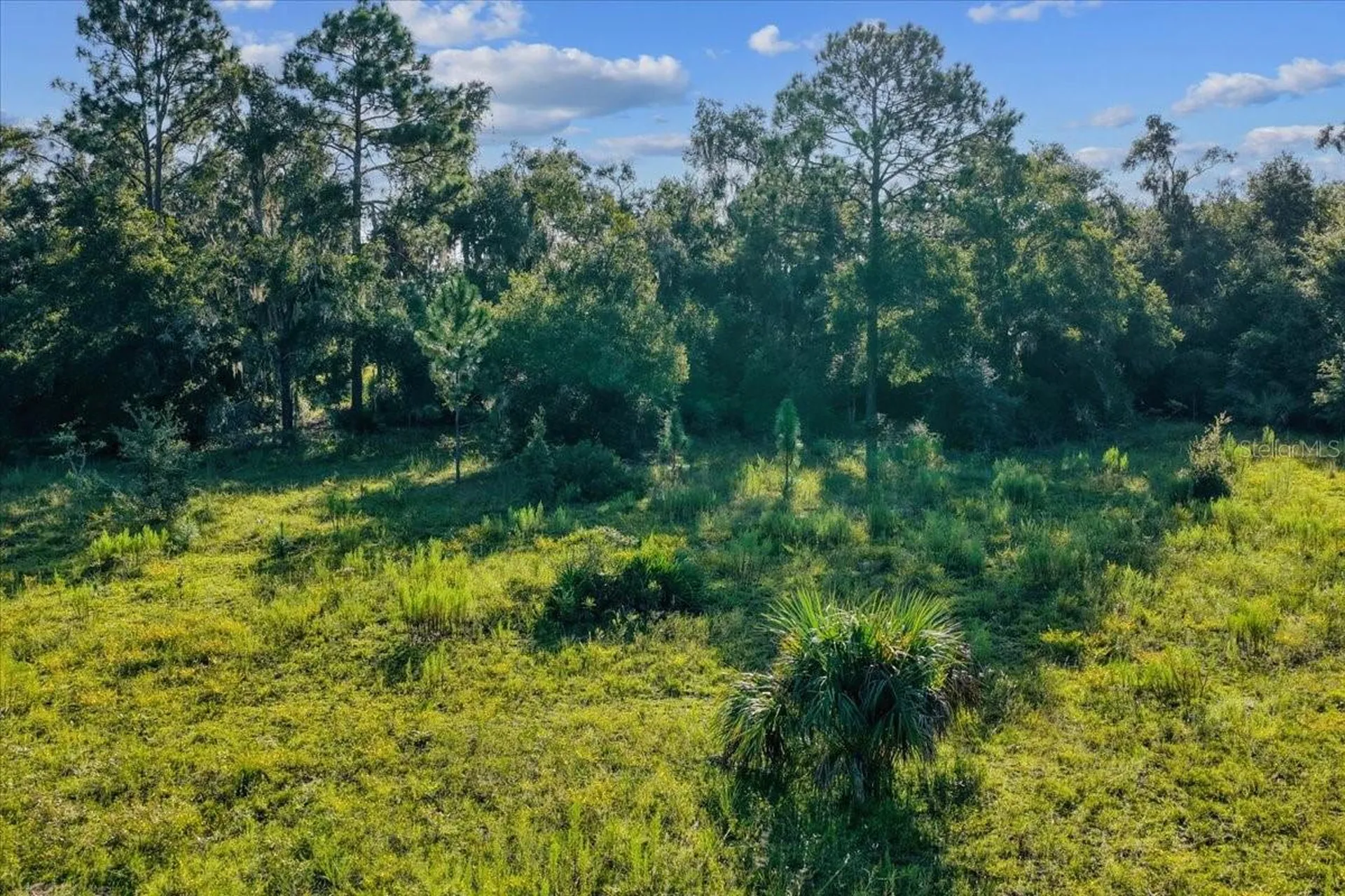 NE Highway 27th Bronson FL 32621