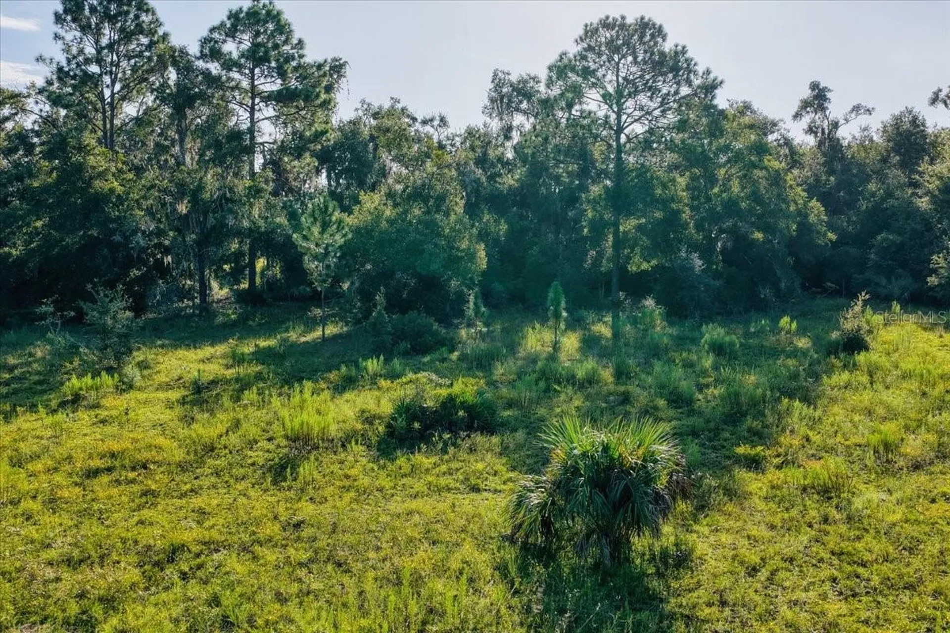 NE Highway 27th Bronson FL 32621