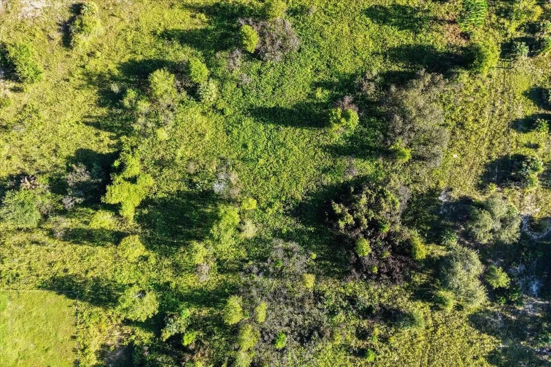 NE Highway 27th Bronson FL 32621
