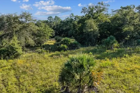 NE Highway 27th Bronson FL 32621