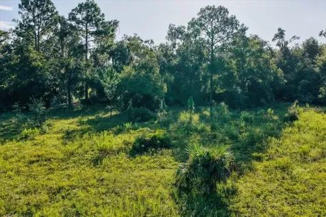 NE Highway 27th Bronson FL 32621
