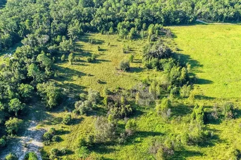 NE Highway 27th Bronson FL 32621
