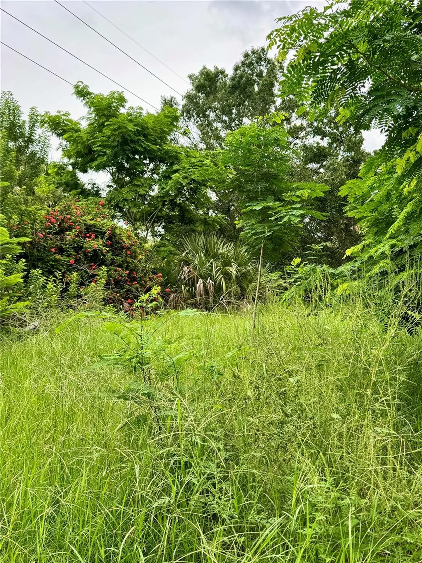 4466 Ganyard Street Punta Gorda FL 33980