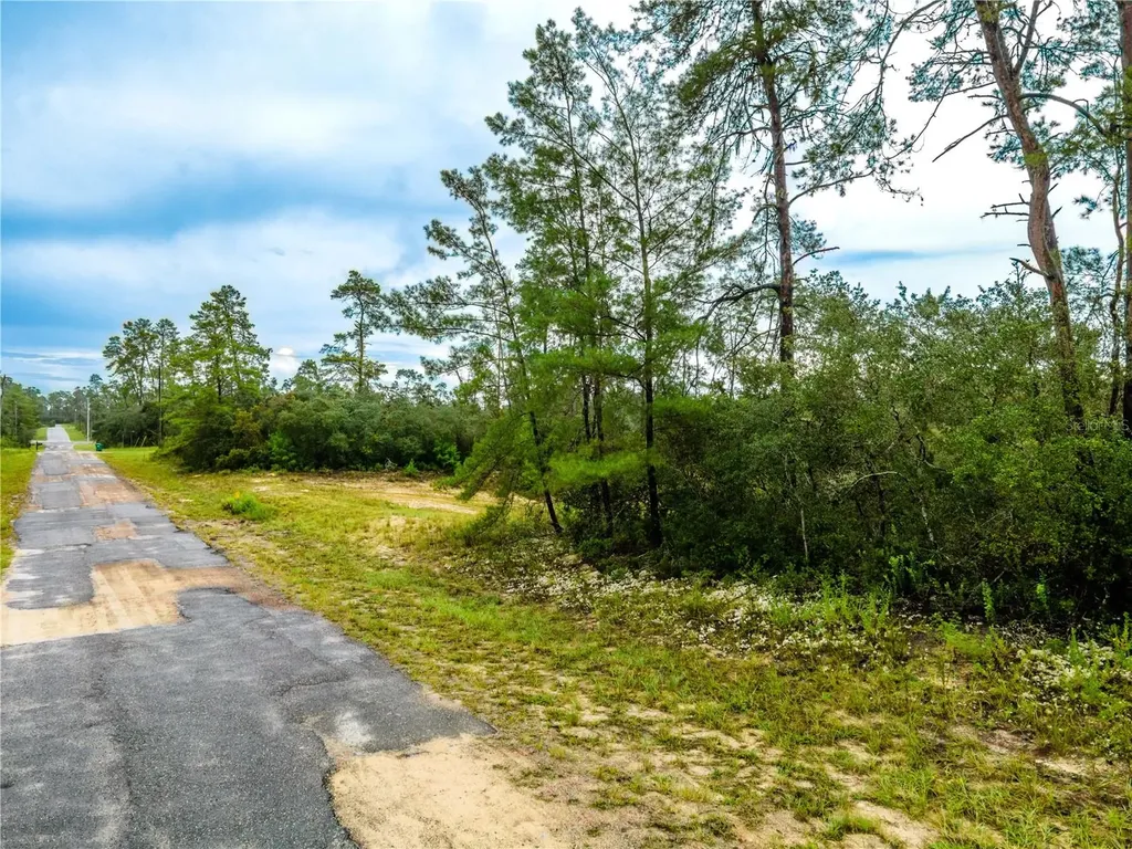 8109 N Wayside Avenue Dunnellon FL 34433